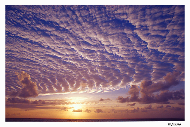 photo "Clouds" tags: landscape, clouds