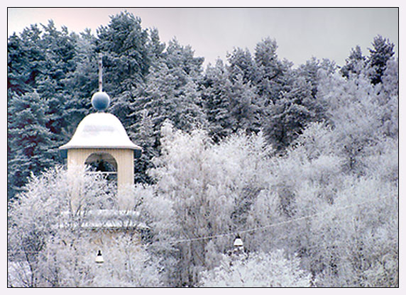 photo "Morning after Christmas Night" tags: landscape, winter