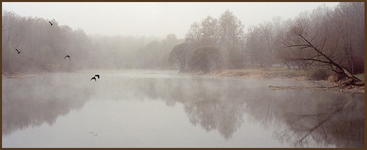 photo "Inter-season period - expectation of colds" tags: landscape, forest, water