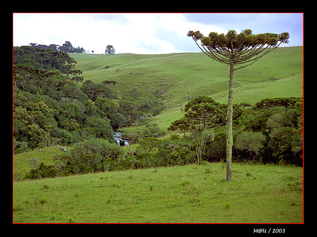 photo "Farm of Venancios" tags: travel, landscape, South America, summer