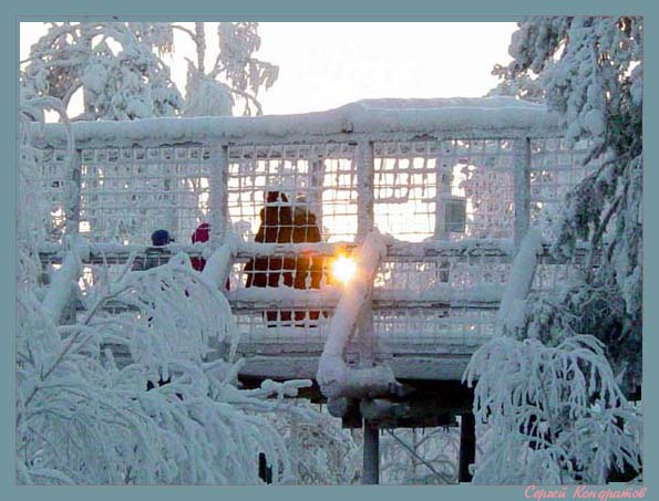 фото "зимний мост" метки: пейзаж, закат, зима
