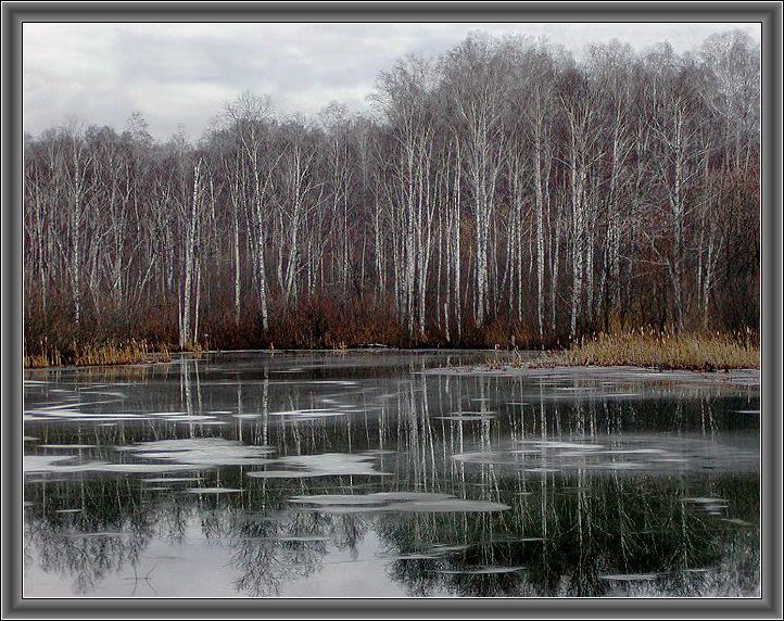 photo "The first ice" tags: landscape, winter
