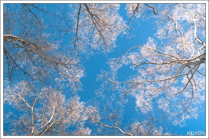 photo "Hoarfrost" tags: landscape, winter