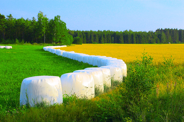 photo "." tags: landscape, summer