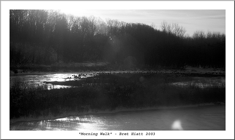 photo ""Morning Walk"" tags: black&white, landscape, winter