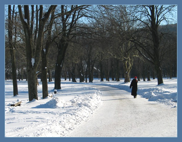 photo "Red Riding Hood?" tags: landscape, winter