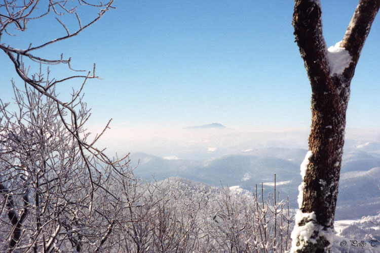 фото "Tip of Grandfather Mountain" метки: пейзаж, горы, зима