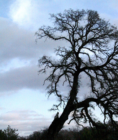 photo "Between Storms" tags: landscape, winter