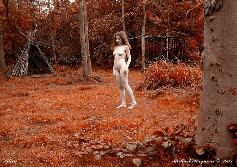 photo "Alice in Wonderland ~ First Appearance" tags: landscape, nude, autumn