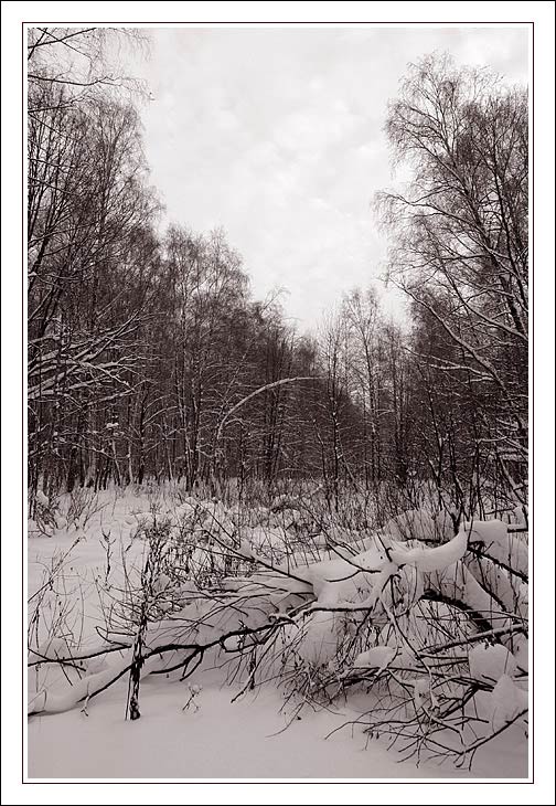 photo "Troparevo winter" tags: landscape, winter