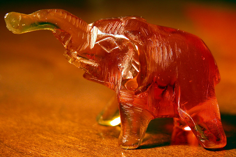 photo "The Amber" tags: macro and close-up, still life, 