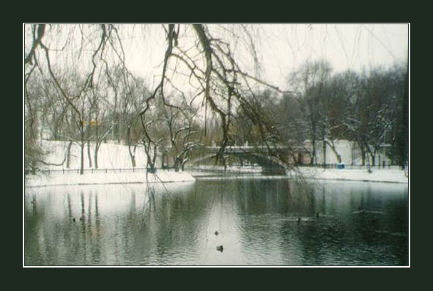 photo "December.In the park." tags: landscape, water, winter