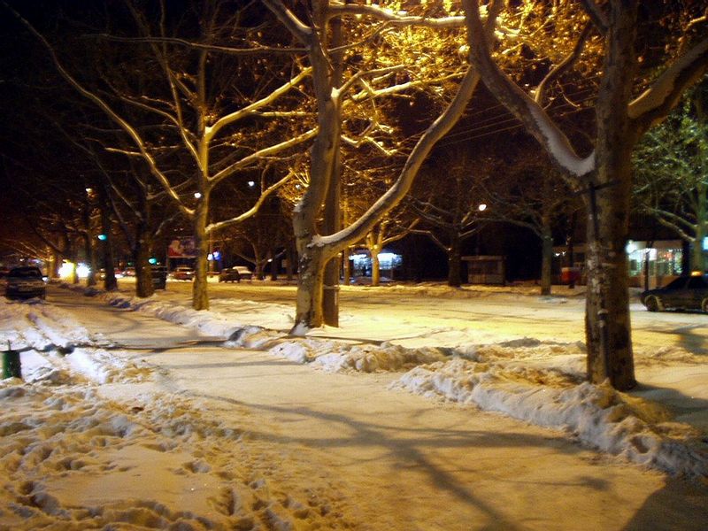 photo "Christmas night" tags: landscape, night, winter