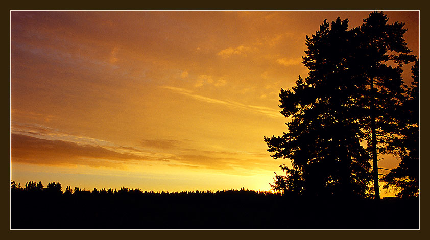 фото "Золото небес." метки: пейзаж, закат, облака