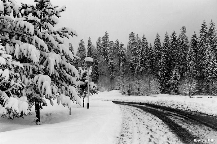 photo "Gray day" tags: travel, landscape, Asia, winter