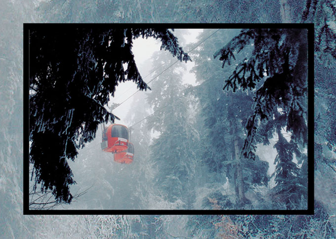 photo "Ski resort Borovets" tags: landscape, forest, winter
