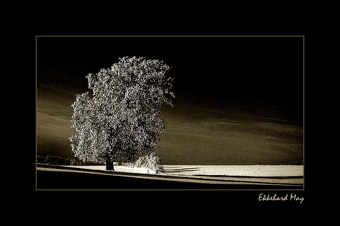photo "[...]" tags: landscape, winter
