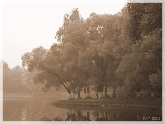 photo "Lake in a fog" tags: landscape, 