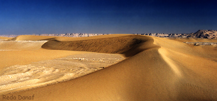 photo "Dunes" tags: travel, landscape, Africa