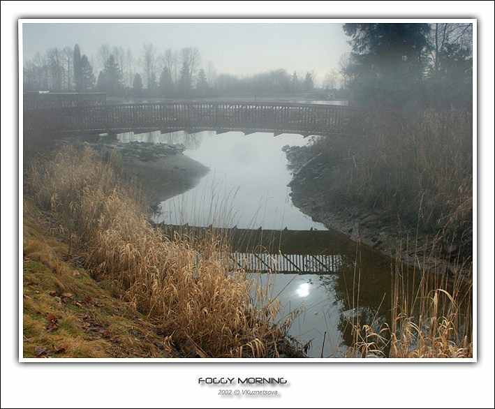 photo "Foggy morning" tags: landscape, water, winter