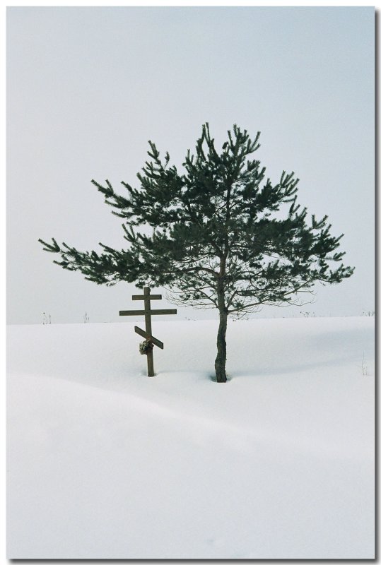 photo "Double the solitude" tags: genre, misc., 