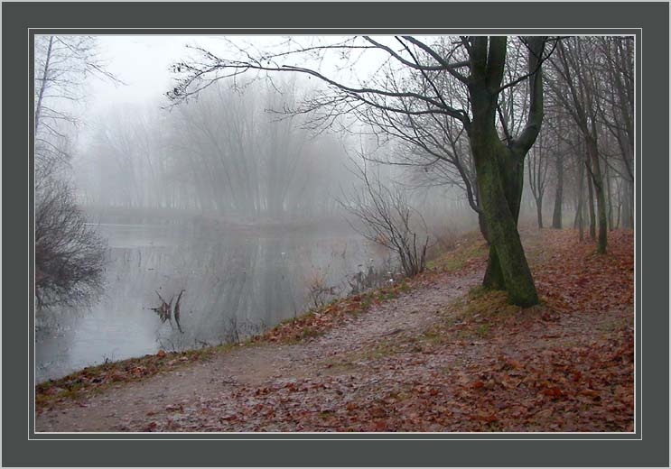 photo "Foggy morning" tags: landscape, autumn