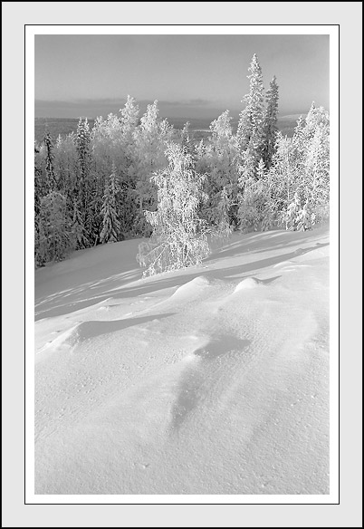 photo "Winter etude with perspective" tags: landscape, black&white, winter