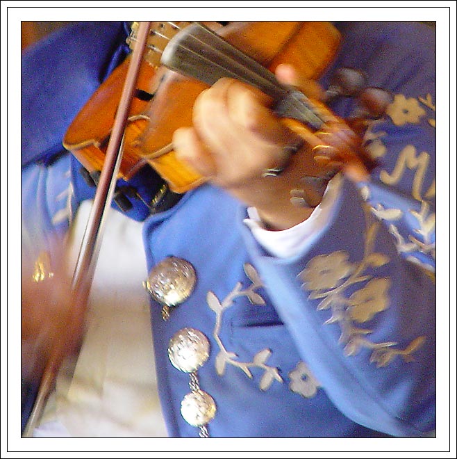 фото "Playing the violin" метки: жанр, разное, 