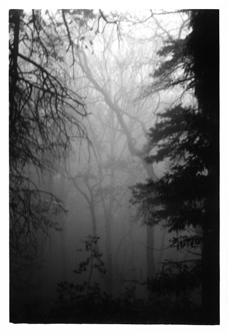photo "my::st" tags: black&white, landscape, winter