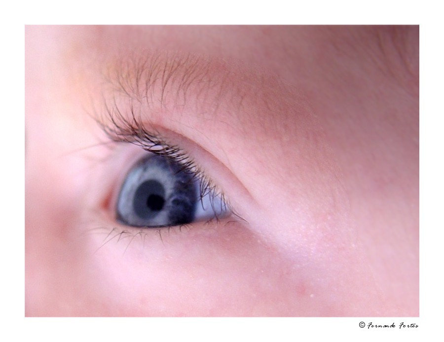 photo "Blue Lagoon" tags: macro and close-up, 