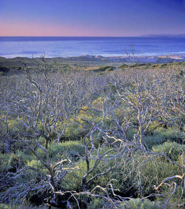 фото "Montana de Oro" метки: пейзаж, вода