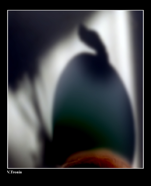 photo "Shadow" tags: abstract, misc., 