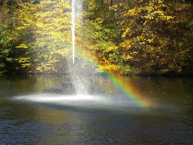 photo "Rainbow" tags: landscape, autumn, water