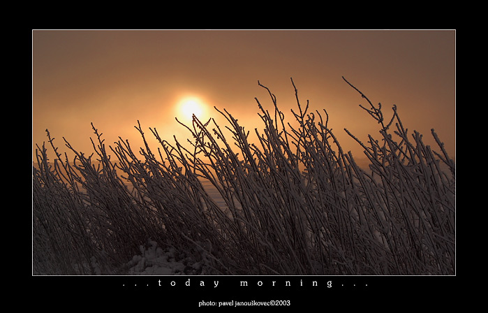 фото "...today morning..." метки: пейзаж, закат, зима