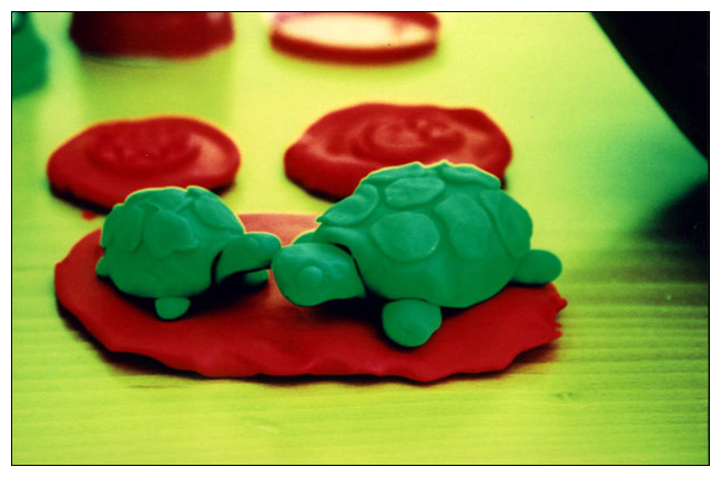 photo "dream::turtle" tags: abstract, nature, wild animals