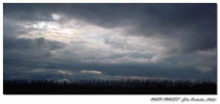 photo "Over Forest" tags: landscape, clouds, forest