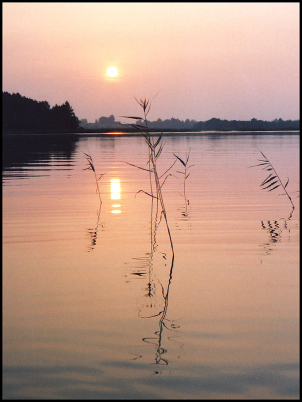 photo "At lake" tags: landscape, sunset, water