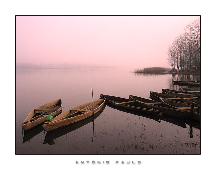 photo "Misty Morning" tags: landscape, water