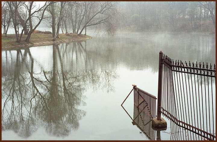 photo "Brown paints of a late autumn" tags: landscape, autumn, water