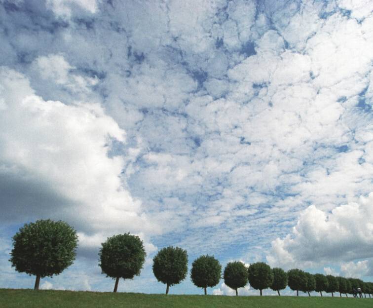 photo "To aspire up" tags: nature, landscape, clouds