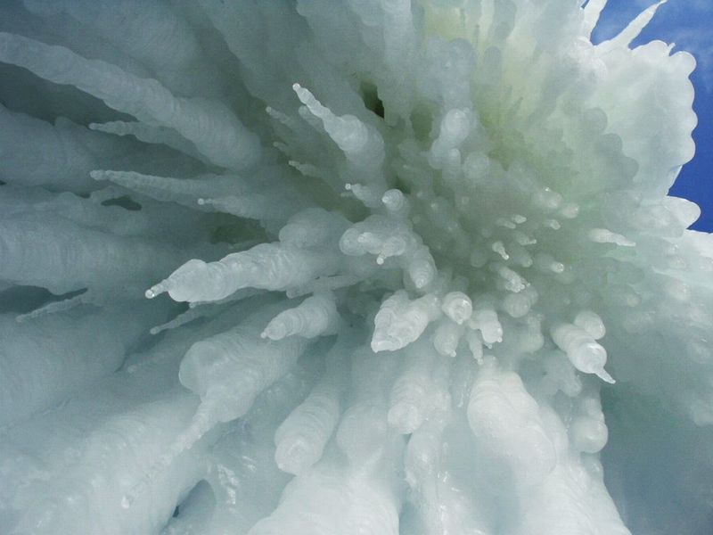 photo "Ice flower" tags: landscape, abstract, winter