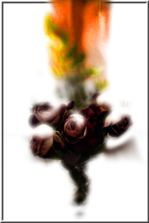 photo "Spanish Roses" tags: abstract, montage, 