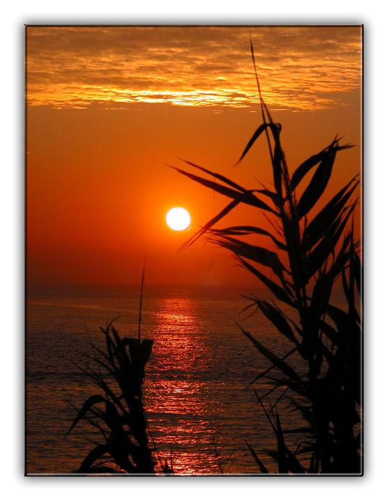 photo "Red sunrise" tags: landscape, sunset