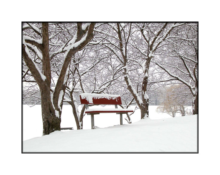 photo "Park Bench" tags: misc., 