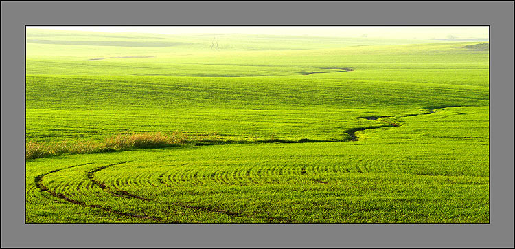 фото "FIELD" метки: пейзаж, лето