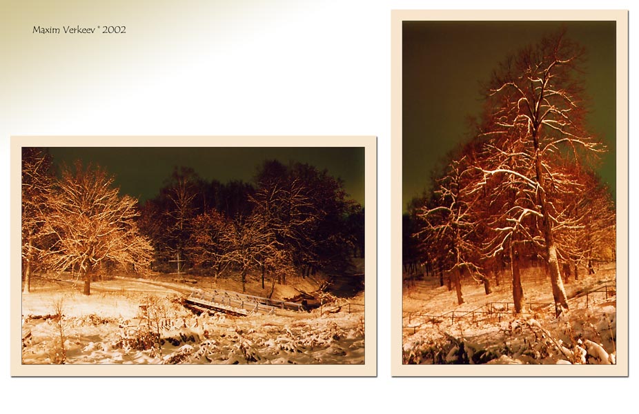 photo "It is dear in a fairy tale III" tags: landscape, misc., forest