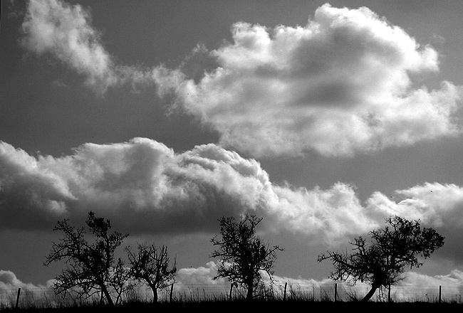 фото "the rustic outline" метки: пейзаж, зима, облака