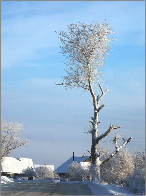 фото "Поездка в деревню..." метки: пейзаж, зима