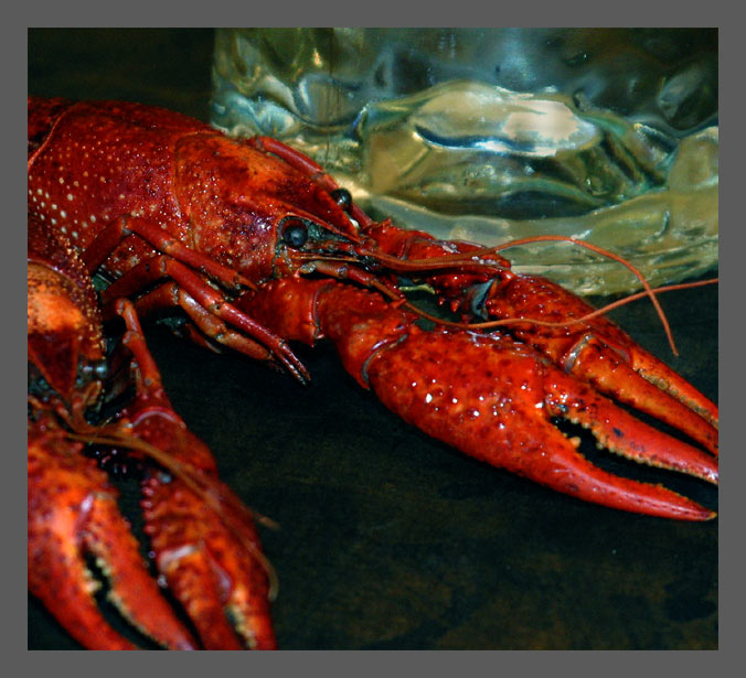 photo "Crawfish" tags: still life, 