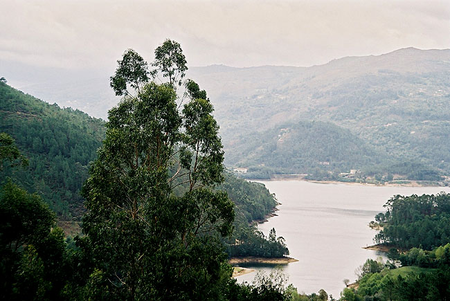 photo "My Tree and my River." tags: landscape, mountains